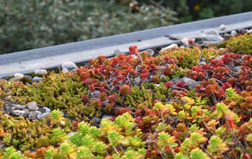 the cost of Moray green roof installation