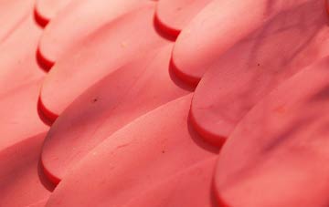 Moray plastic roof costs