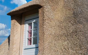 Moray thatch roof disadvantages