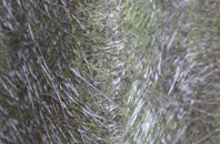 Moray fibreglass roof work