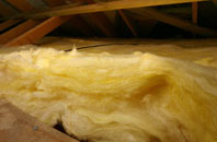 Moray pitch roof insulation