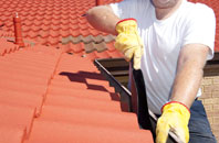 Moray roof cleaners