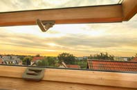 rated Moray roof window companies